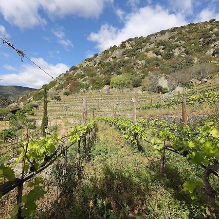 בית הארחה São João da Pesqueira 	Quinta Da Ferradosa Wines מראה חיצוני תמונה