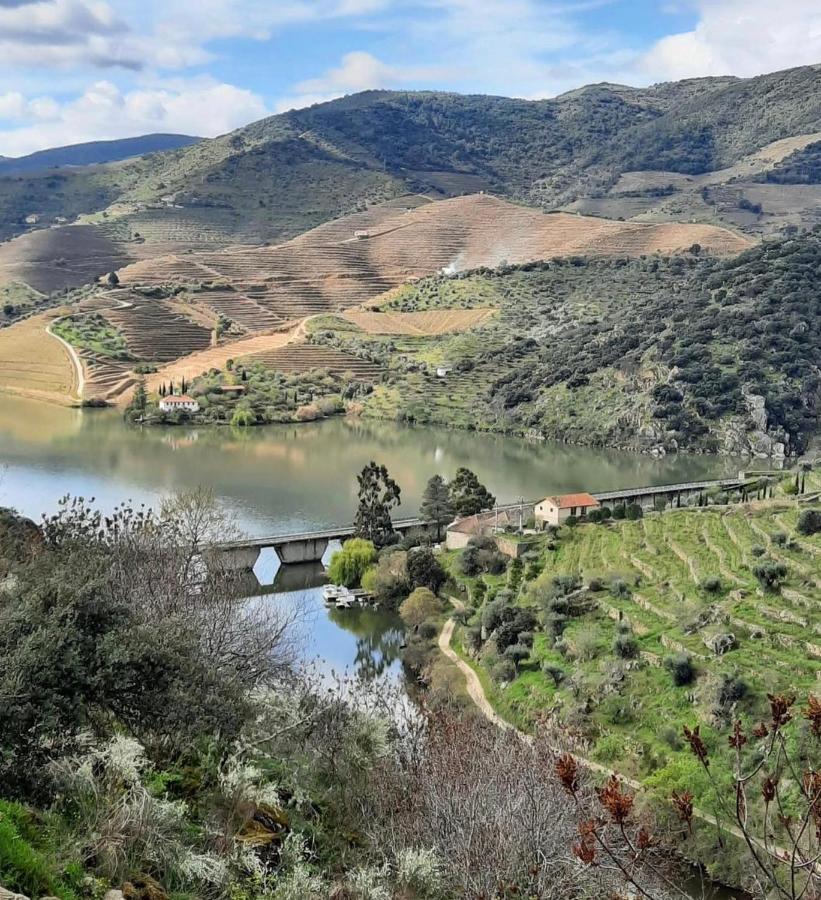 בית הארחה São João da Pesqueira 	Quinta Da Ferradosa Wines מראה חיצוני תמונה