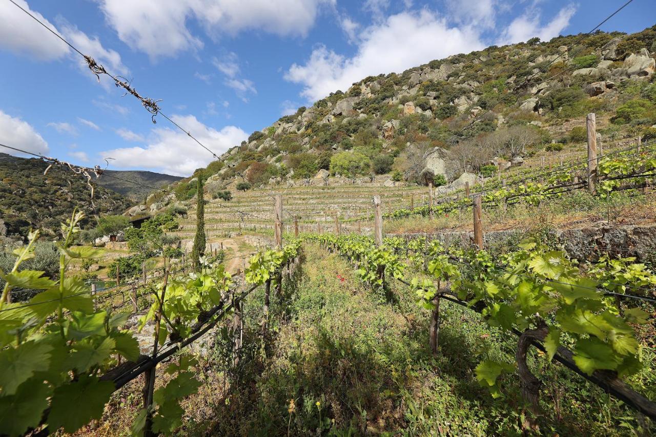 בית הארחה São João da Pesqueira 	Quinta Da Ferradosa Wines מראה חיצוני תמונה