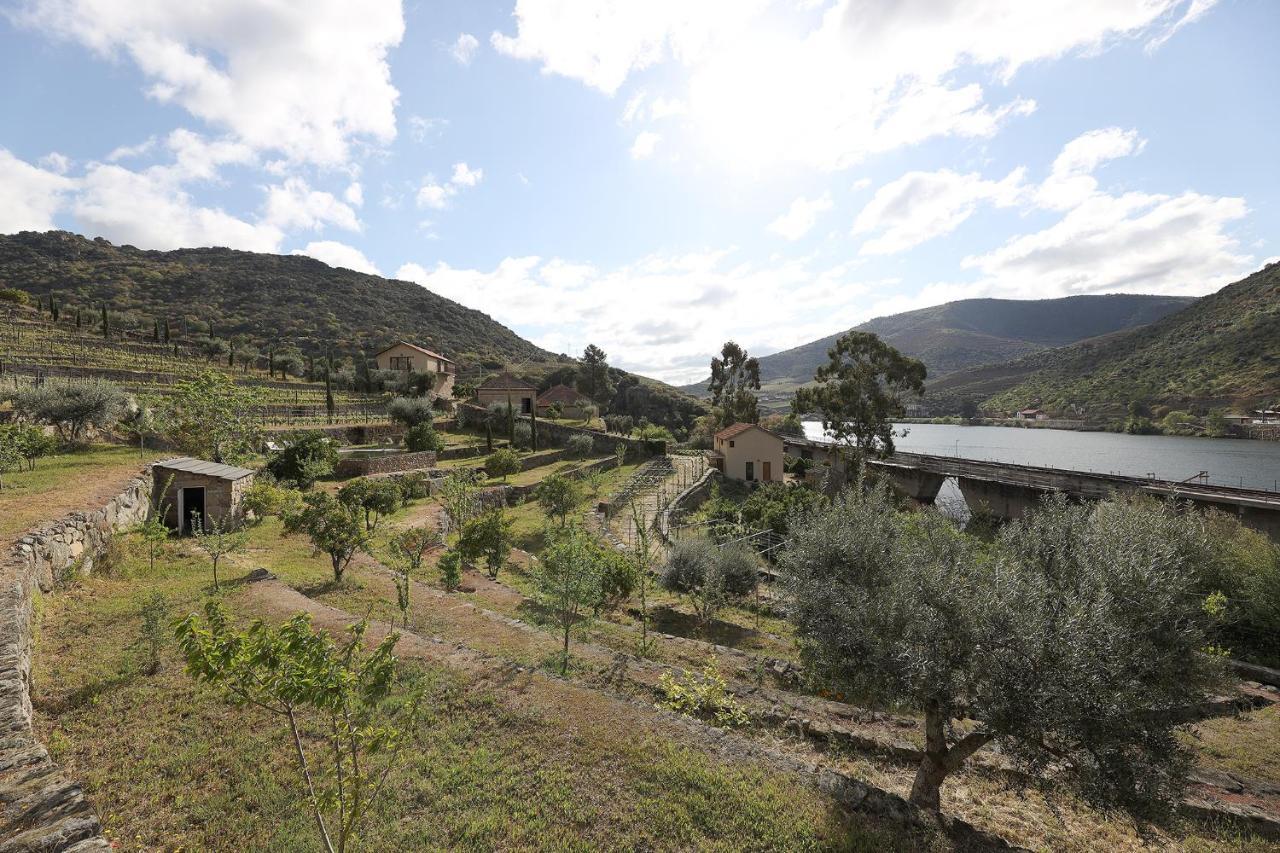 בית הארחה São João da Pesqueira 	Quinta Da Ferradosa Wines מראה חיצוני תמונה