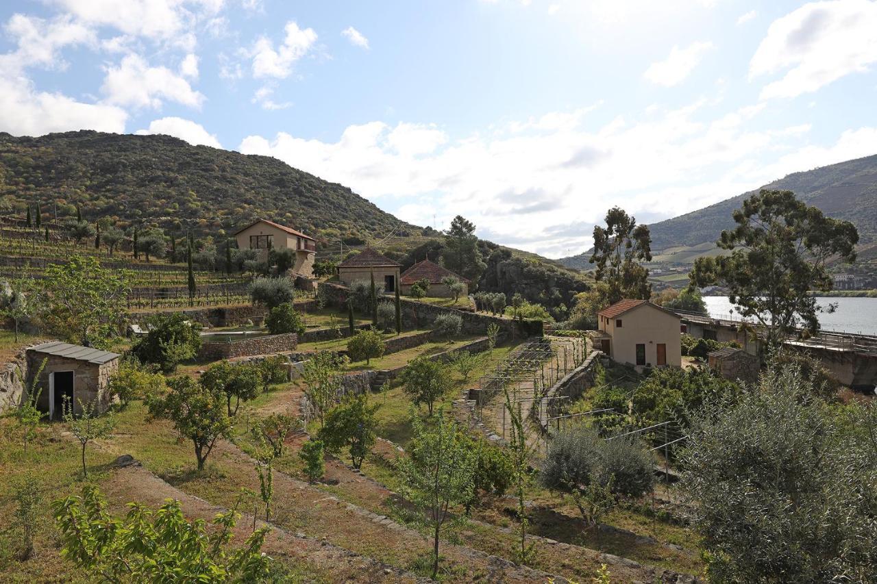 בית הארחה São João da Pesqueira 	Quinta Da Ferradosa Wines מראה חיצוני תמונה