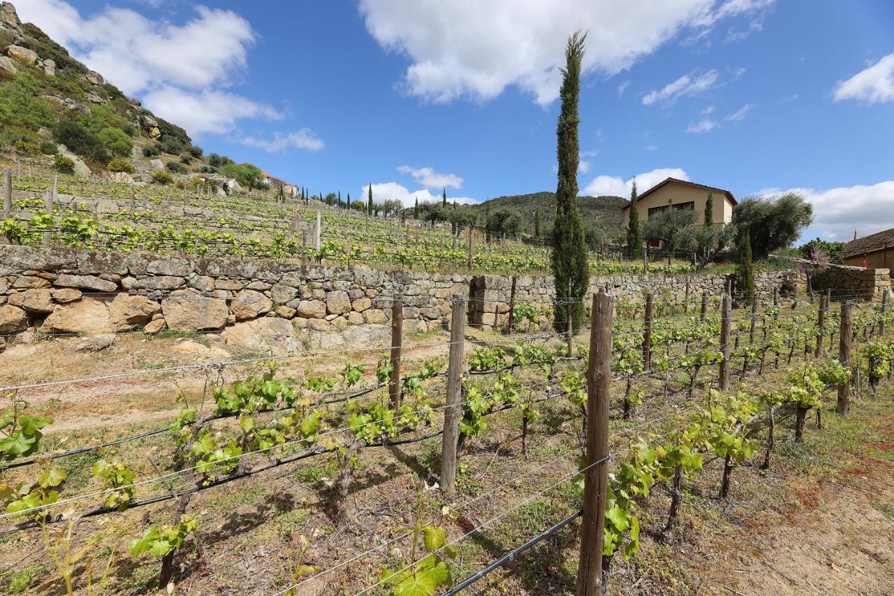 בית הארחה São João da Pesqueira 	Quinta Da Ferradosa Wines מראה חיצוני תמונה