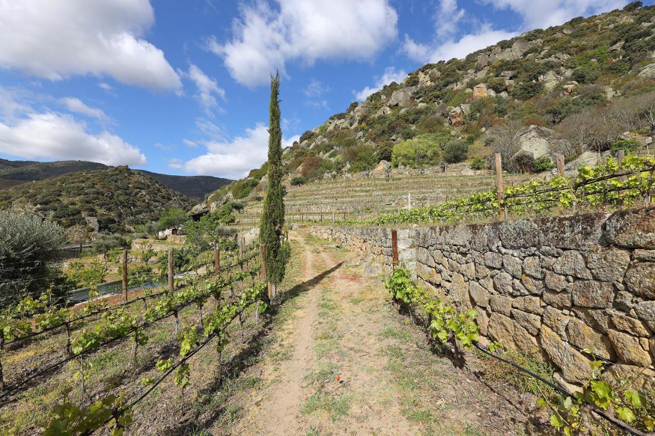 בית הארחה São João da Pesqueira 	Quinta Da Ferradosa Wines מראה חיצוני תמונה